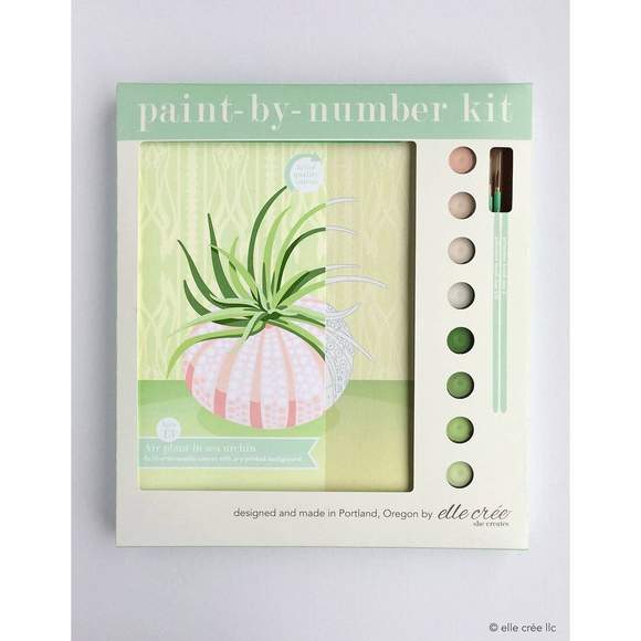 elle crée Paint-by-Number Kit - Air Plant in Sea Urchin