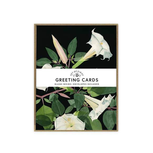May We Fly Boxed Cards - Moonflowers