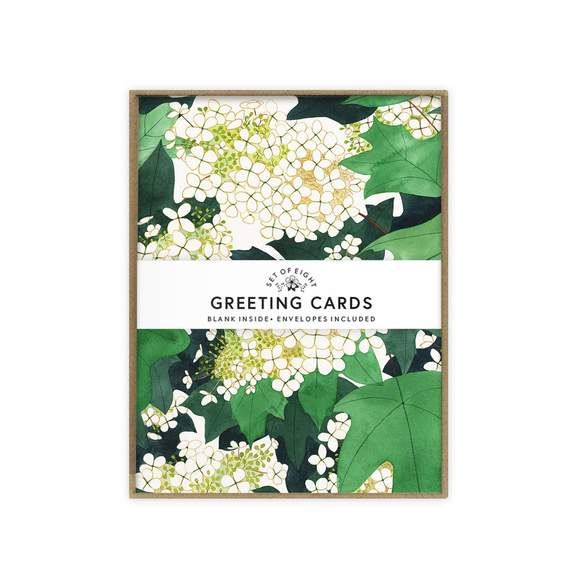 May We Fly boxed set of cards - Oakleaf Hydrangea