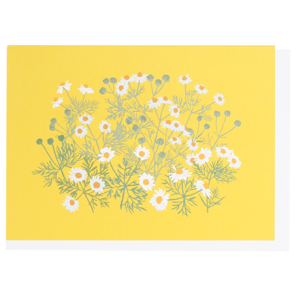 Smudge Ink Boxed Notecards - Chamomile