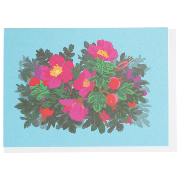 Smudge Ink Boxed Notecards - Beach Roses