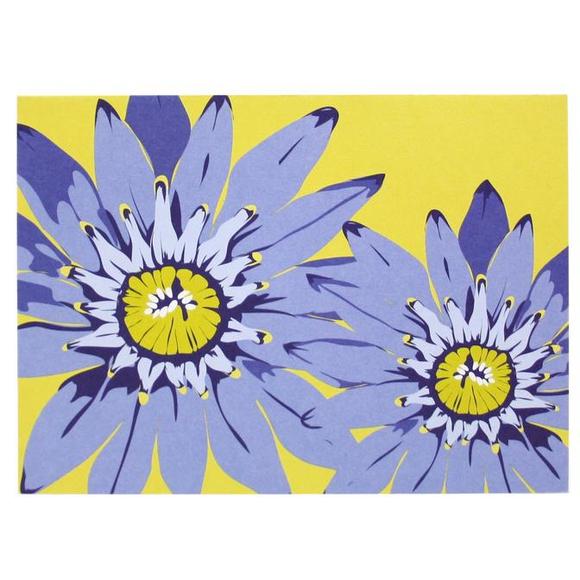 Smudge Ink Boxed Notecards - Cornflower Blue Daisy