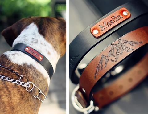 Huge SALE! Leather Dog Collar, Personalized