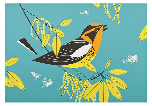 Charley Harper Small Boxed Cards - Blackburnian Warbler