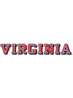 Color Shock VIRGINIA Outside Decal