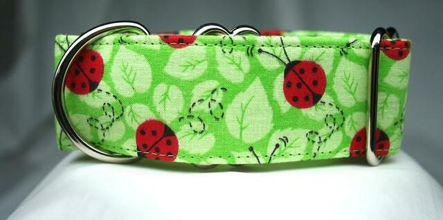 Lady Bugs on Lime Collar