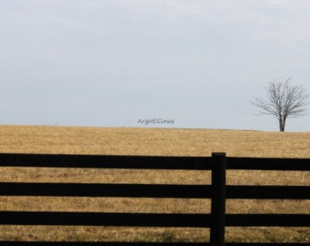 Black Picket Fence, Field of Dreams, Landscape Photography, Virginia Field Art, Fence Photography, Landscape Art, Field Art, Tree Art