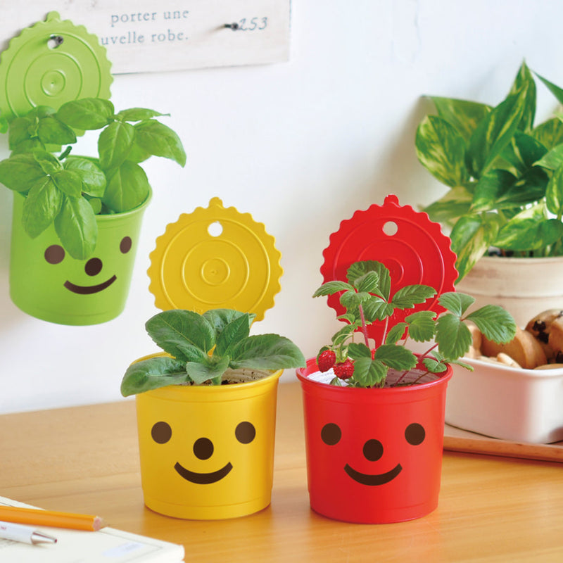 Smile & Smile Plant Kit