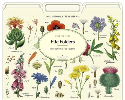 Cavallini & Co. File Folders - Succulents